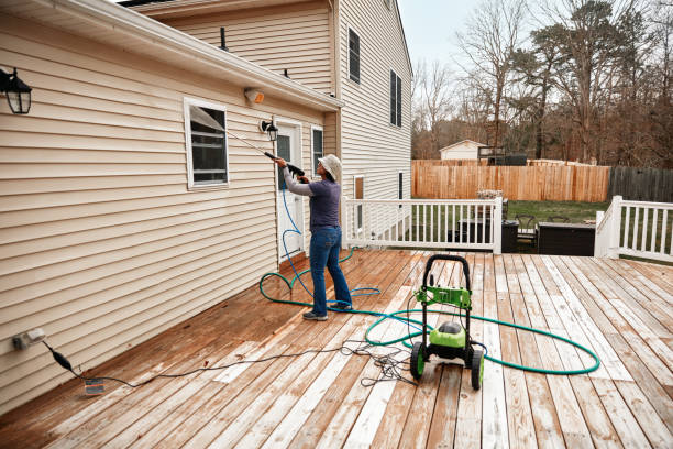 Best Best Pressure Washing Companies  in Mesita, NM