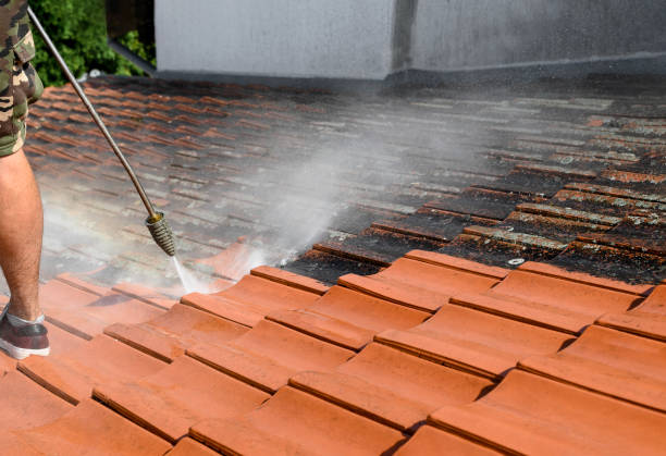 Best Exterior Home Cleaning  in Mesita, NM