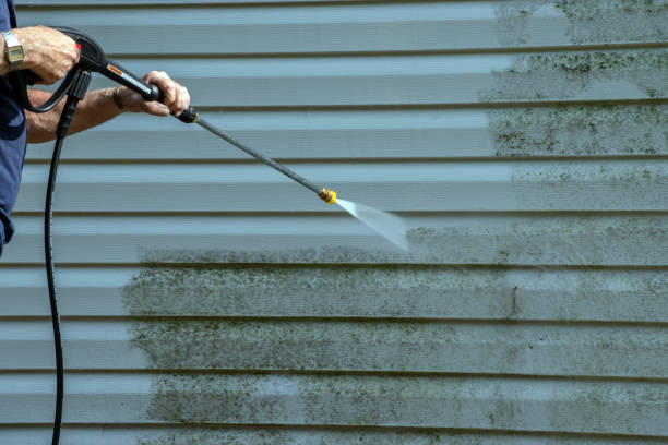 Trusted Mesita, NM Pressure Washing Experts